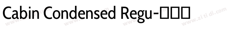 Cabin Condensed Regu字体转换